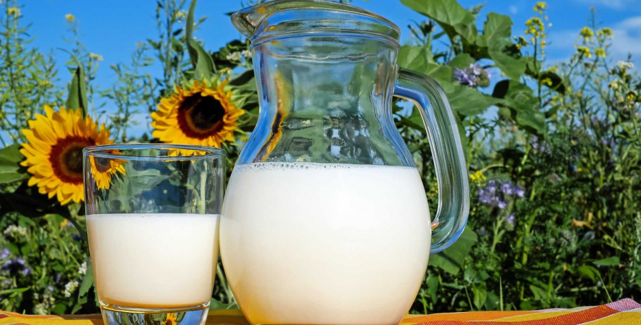 New Milk Commercial 2023 World Milk Day Around The World In 2022 | There Is A Day For That!