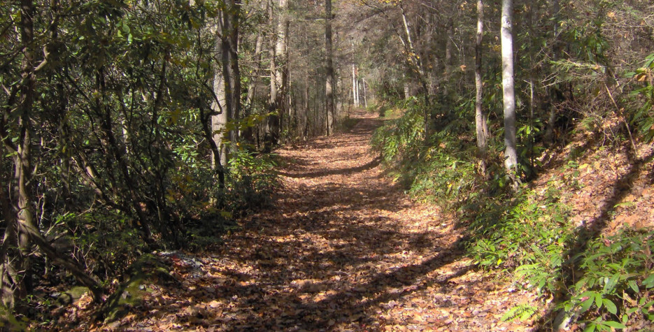 national hike day 2023 National Trails Day in USA in 2023 There is a Day for that!