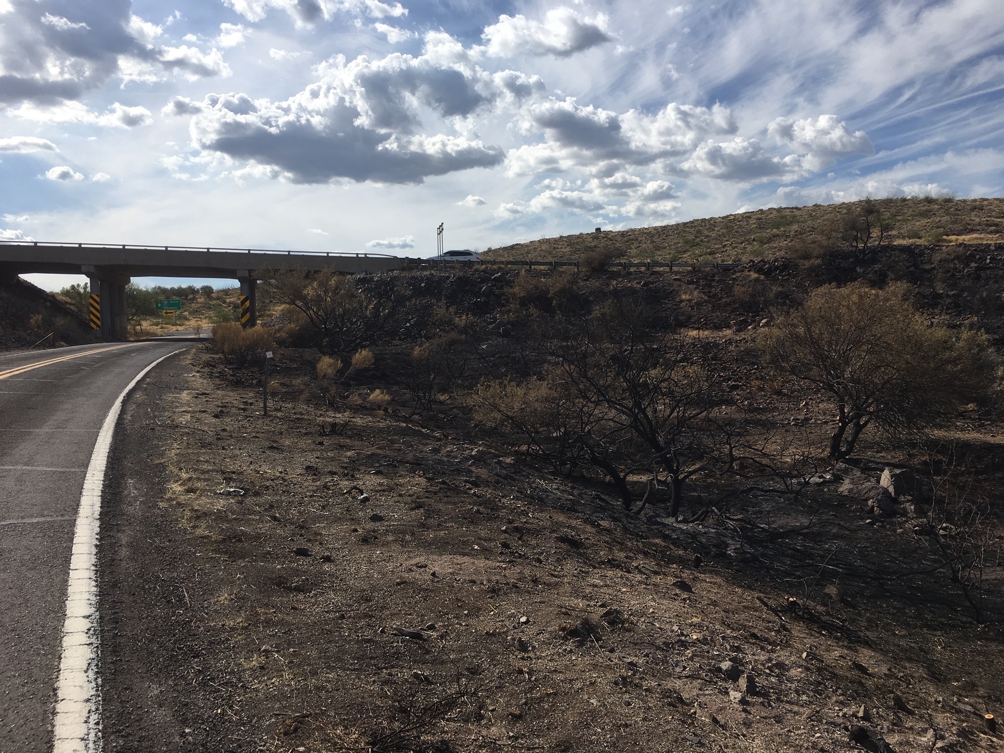 Praying for the Arizona monsoon Daniel Stein Kokin The Blogs