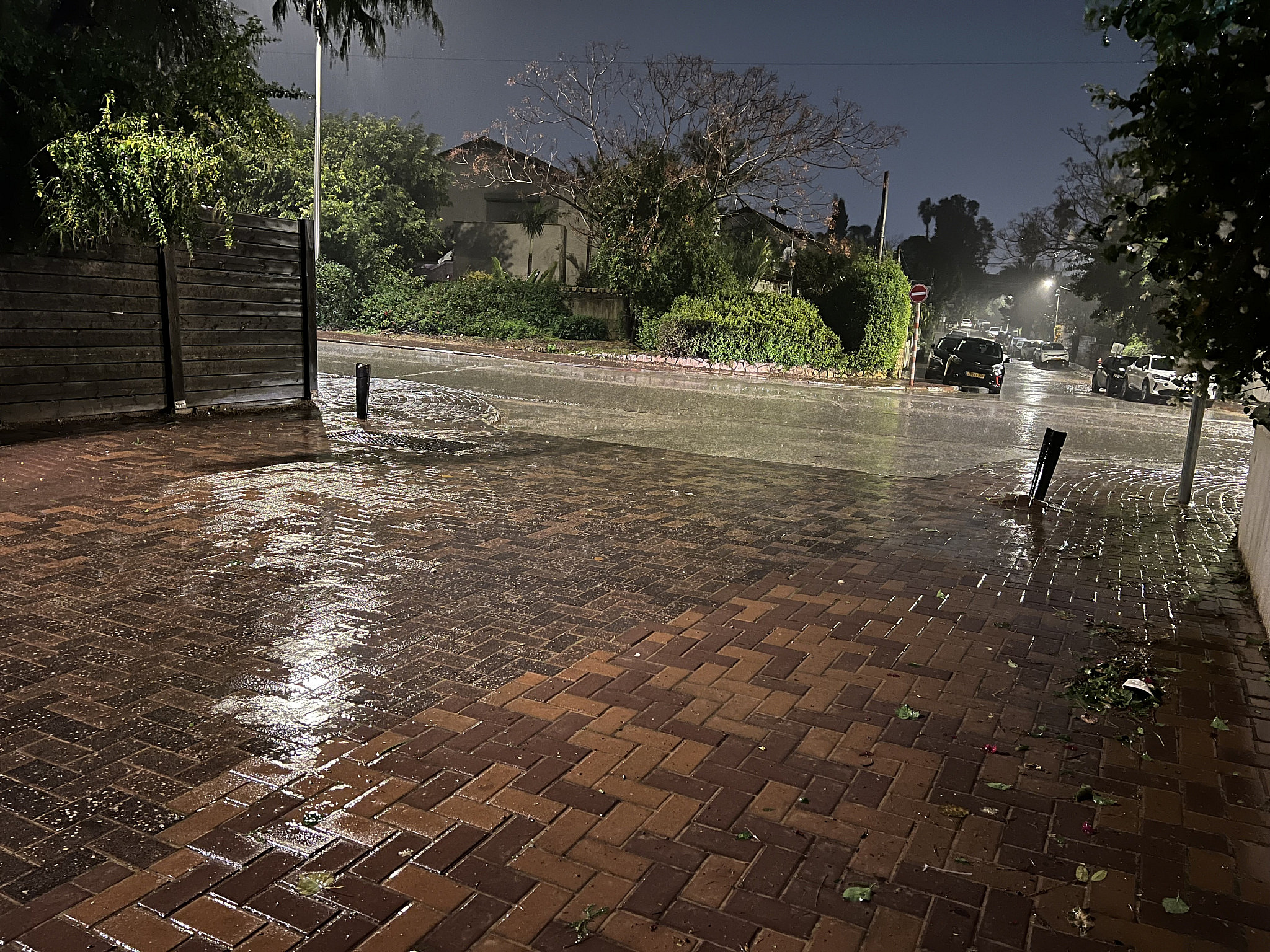 Let It Rain? Chana Pinto The Blogs