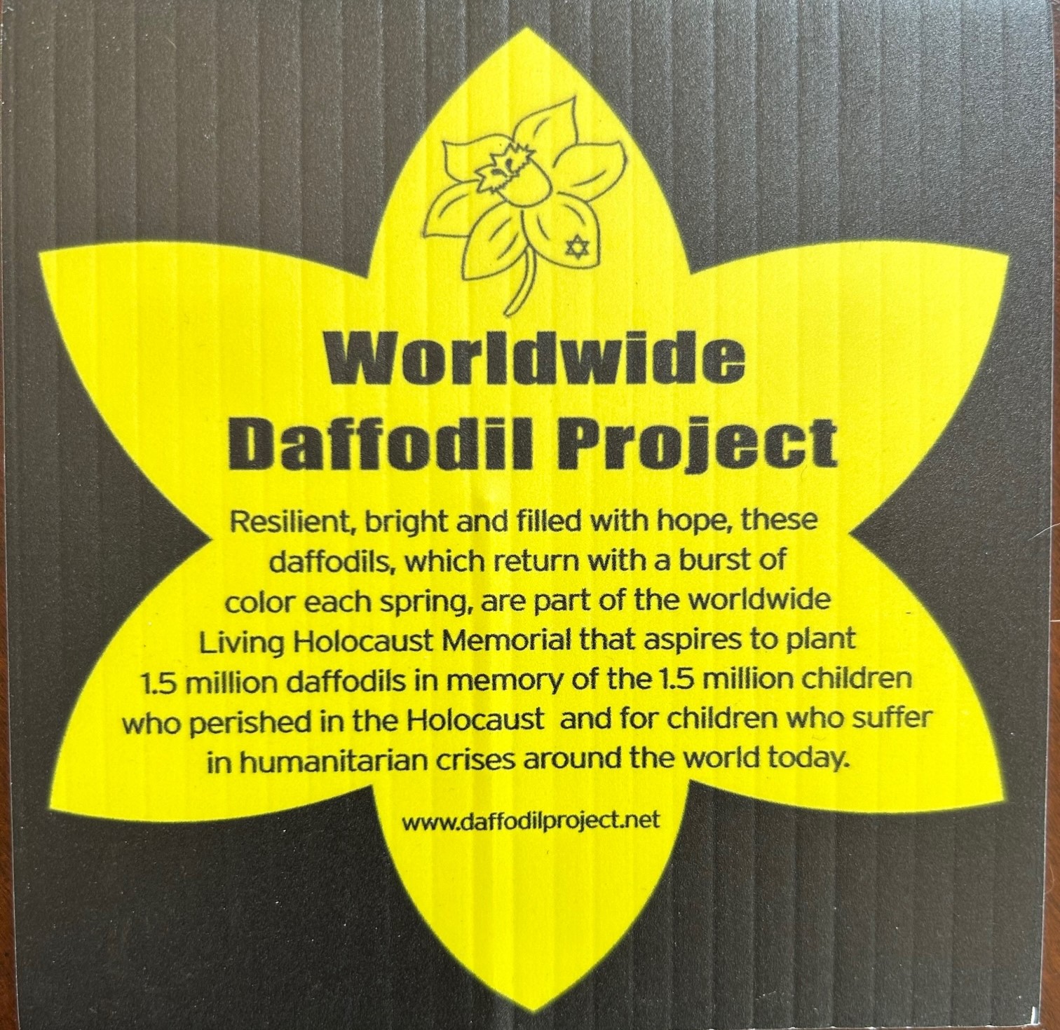 Daffodils, Hadassah and Holocaust Education Hope Blecher The Blogs