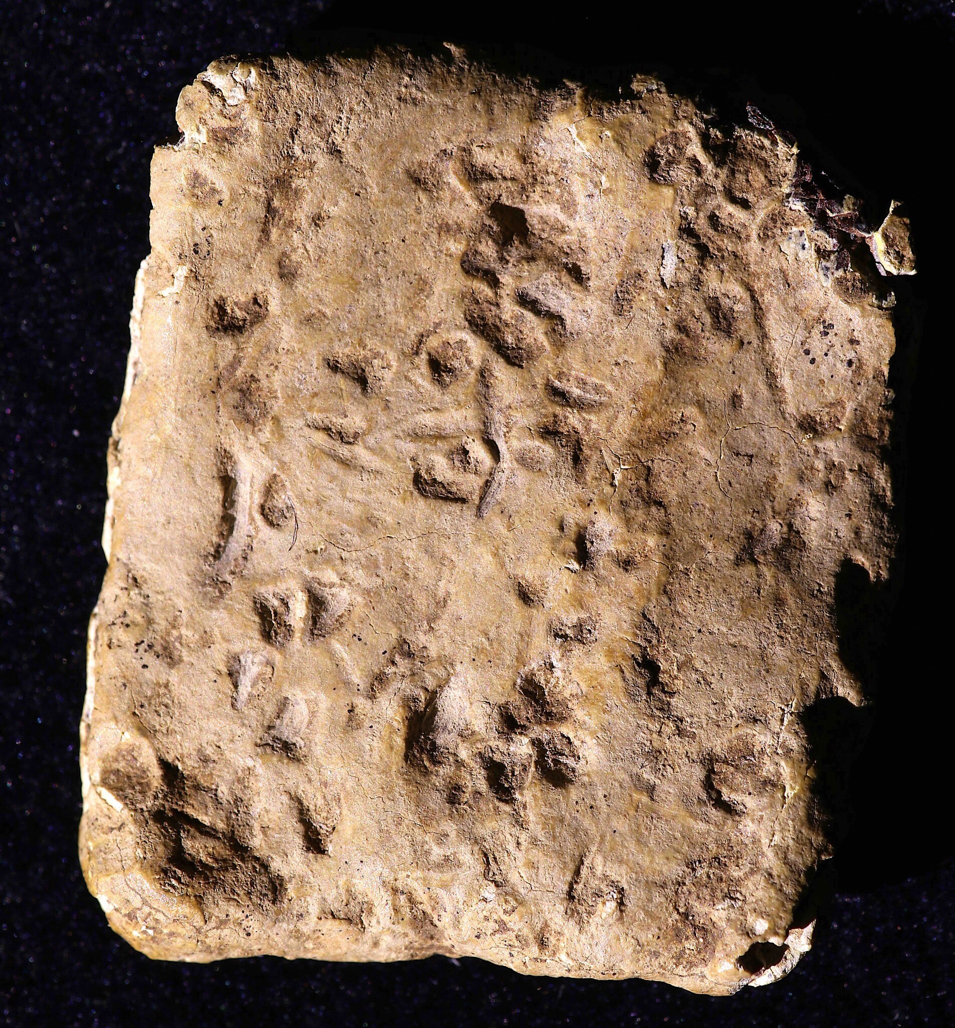 Academic article on controversial 3,200yearold 'curse tablet' fails
