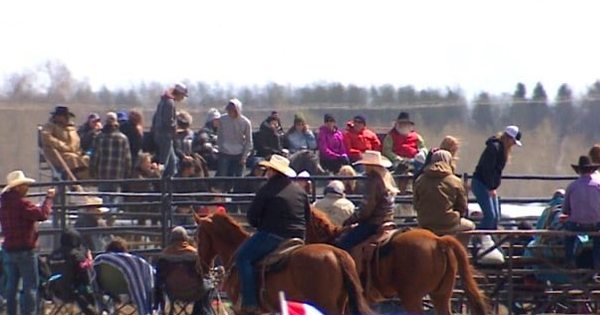 Antilockdown rodeo did not cause any new COVID19 cases True North