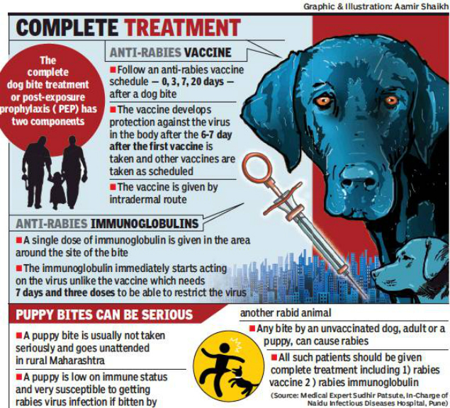 96 scorer inadequately treated for dog bite, succumbs to rabies Pune