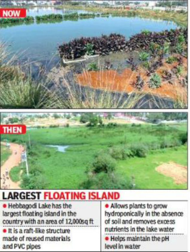 Bangalore Hebbagodi lake has India’s largest floating island