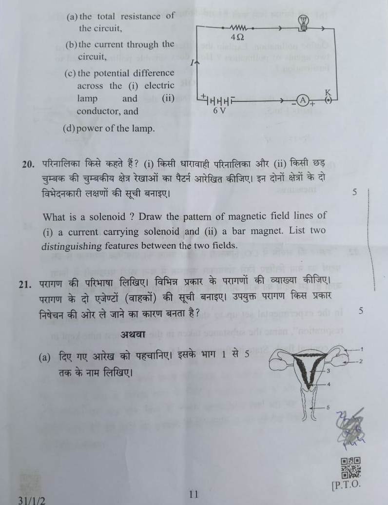 Question Paper Of Drawing Class 6