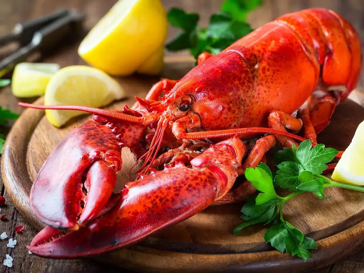 Why lobster was considered a fertilizer in the past? The Times of India