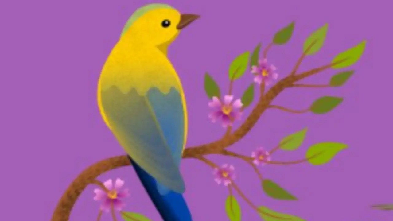 Personality test The bird you choose reveals how you…