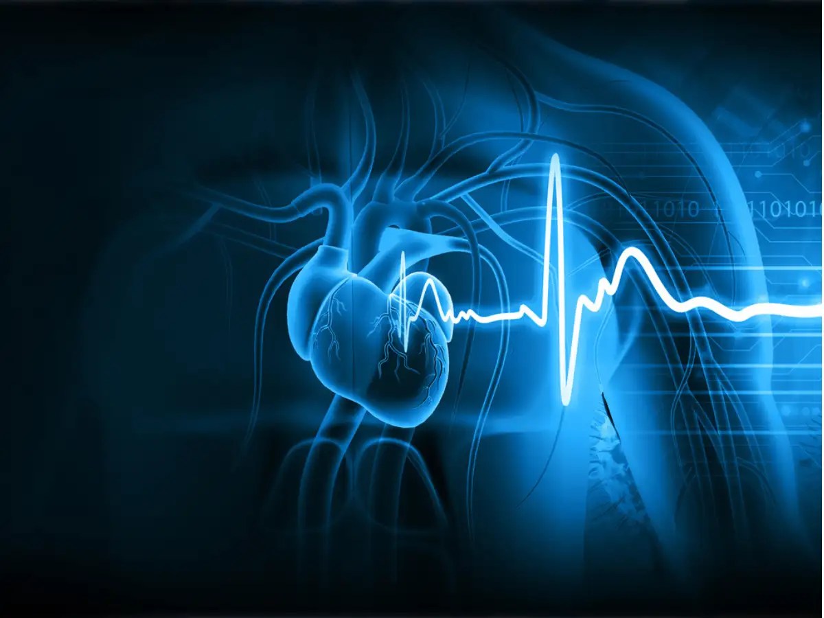 Heart Disease 10 rare heart conditions you might not have heard of