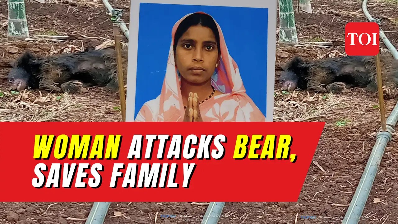 farmland Brave woman saves husband & brother from sloth bear attack in