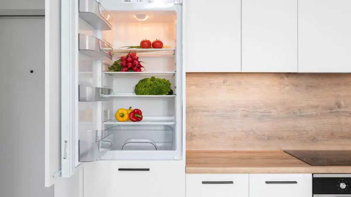 Best refrigerators under 50000 in India Most Searched Products Times of India