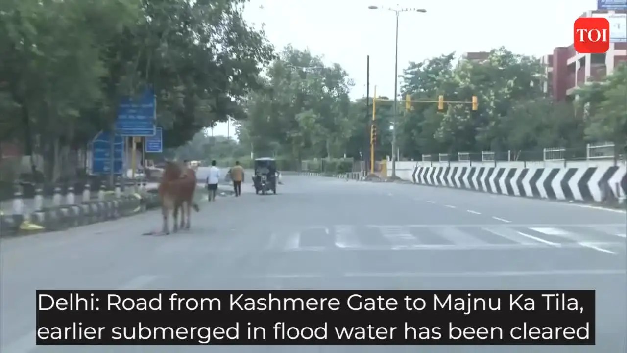 Road from Kashmere Gate to Majnu Ka Tila cleared after water recedes