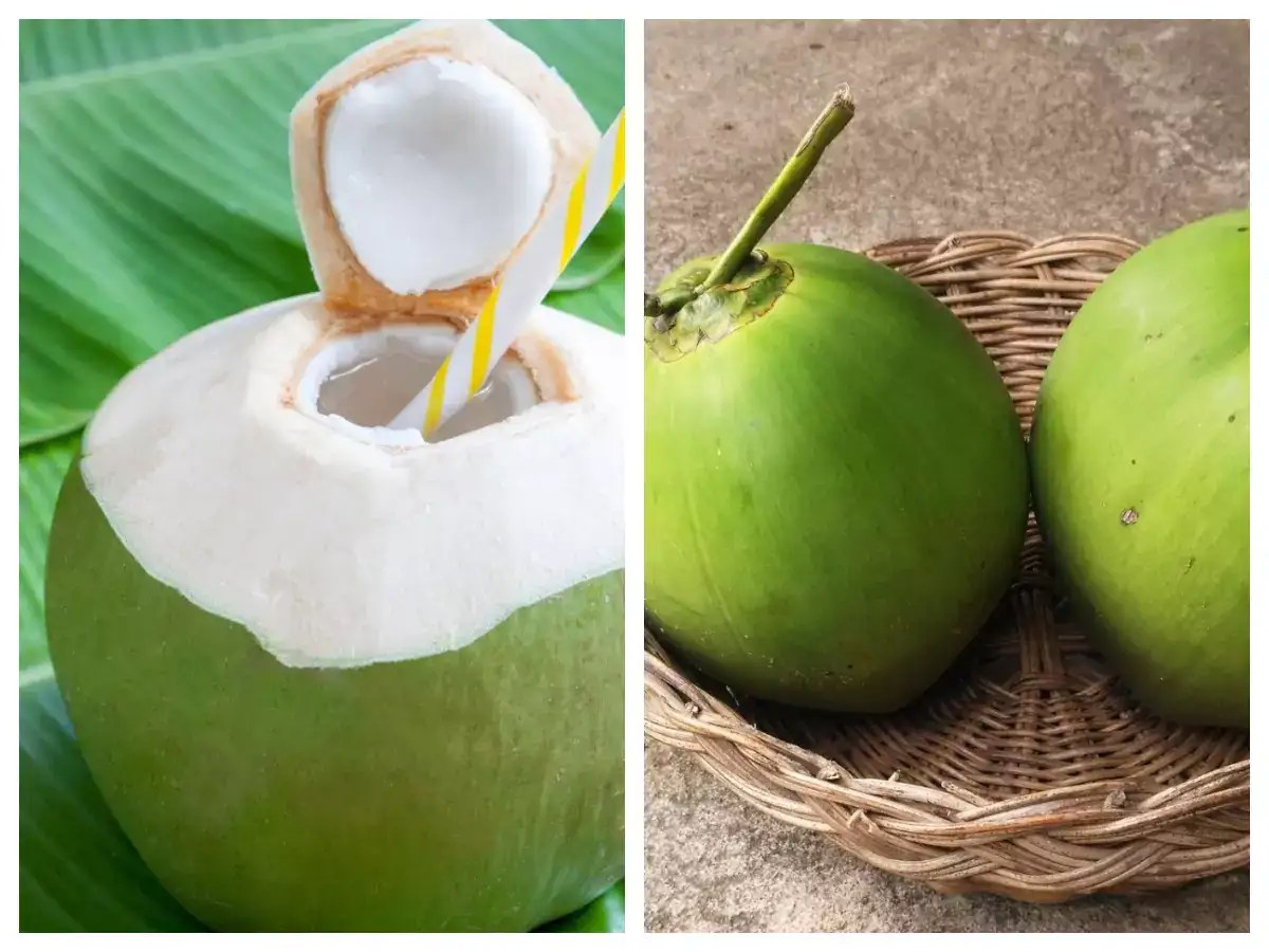 Untold benefits of drinking coconut water(07)