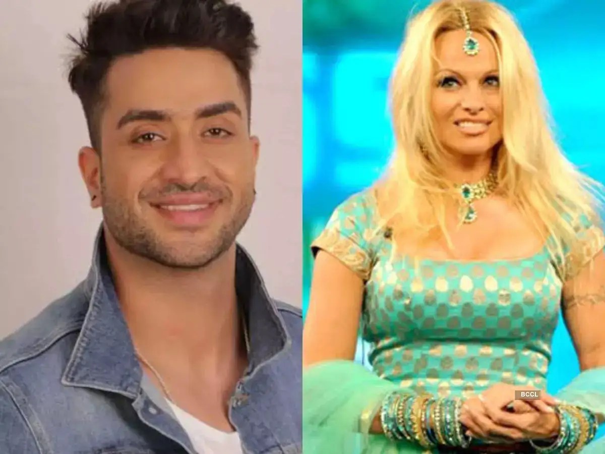 From Aly Goni to Pamela Anderson Highestpaid Bigg Boss contestants