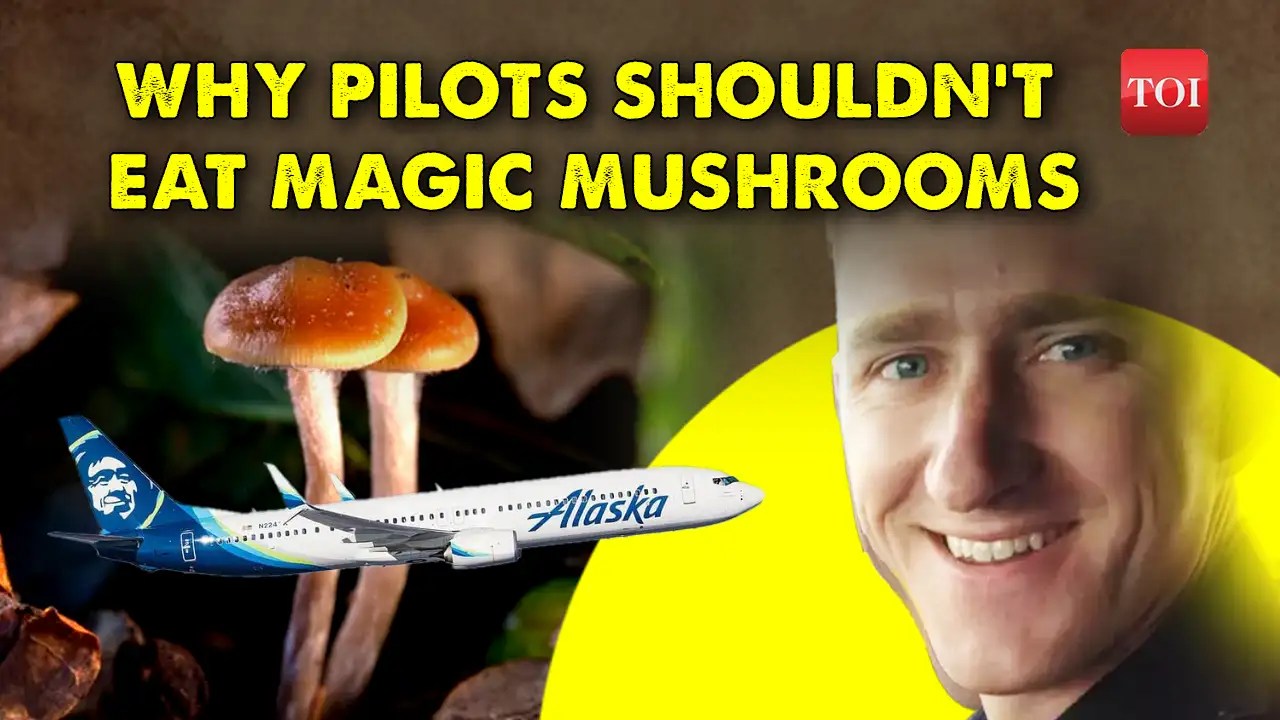 Shocking Offduty pilot tries to shut down plane engine midair, says