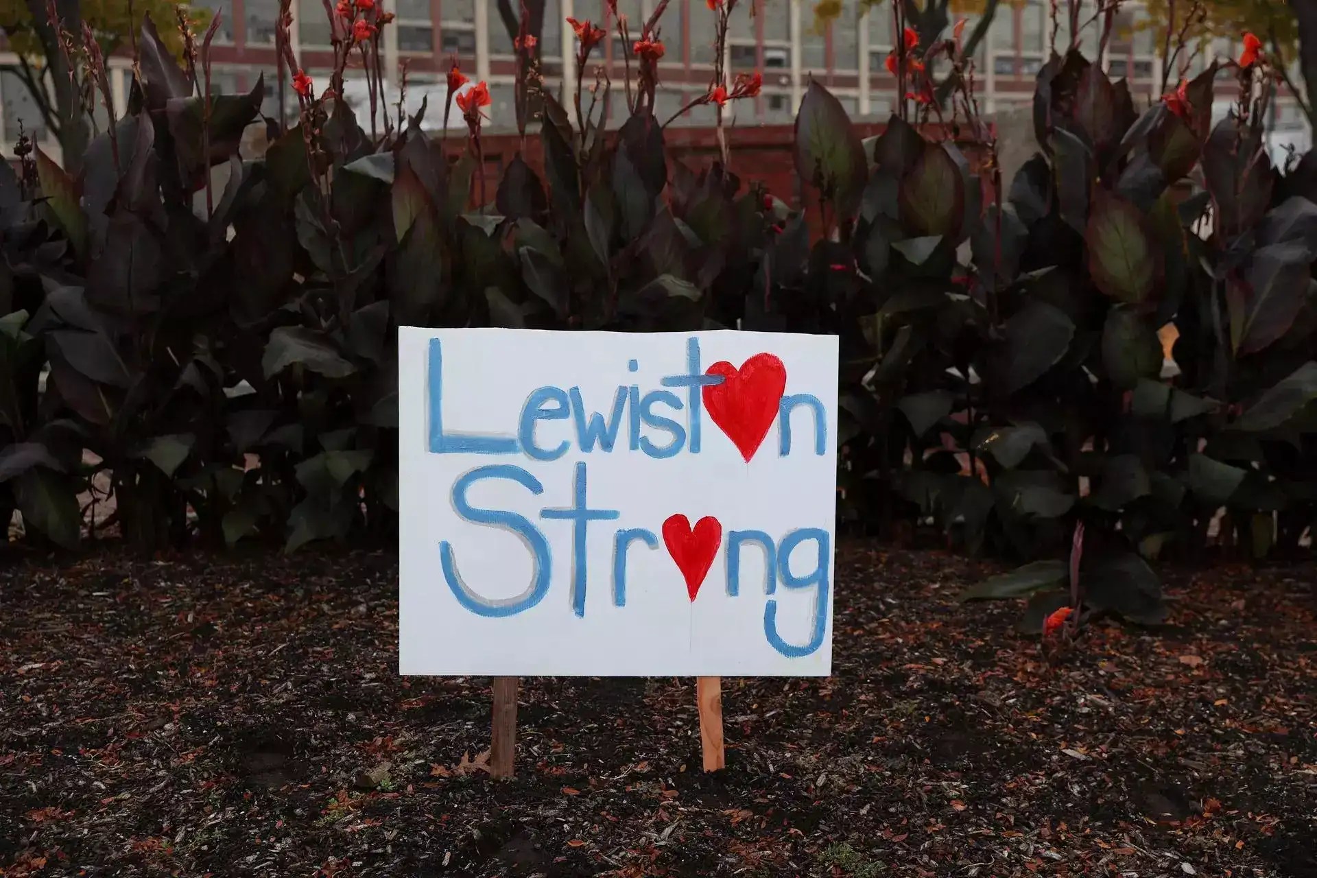 Lewiston, Maine shooting Hundreds of officers search for suspect