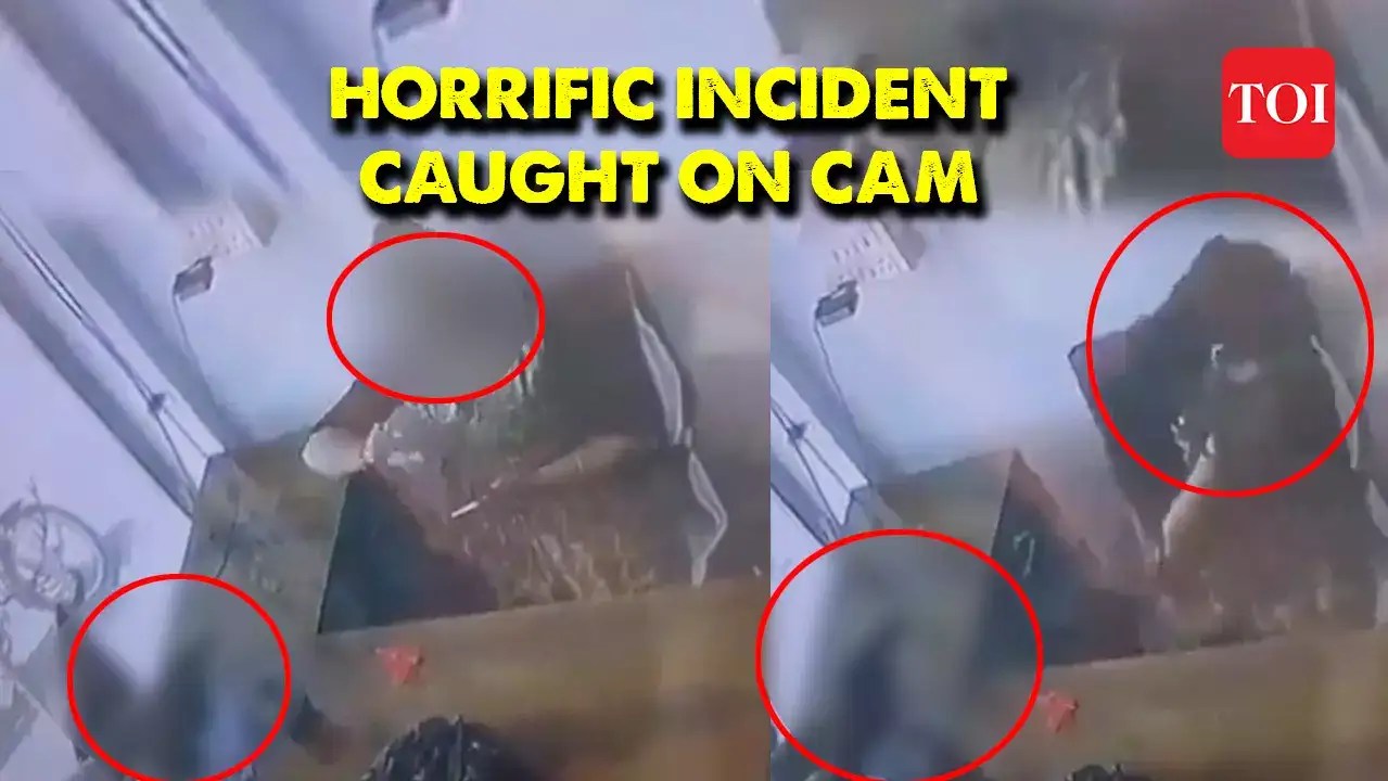 Instagram influencer shot dead by husband in Rajasthan's Phalodi