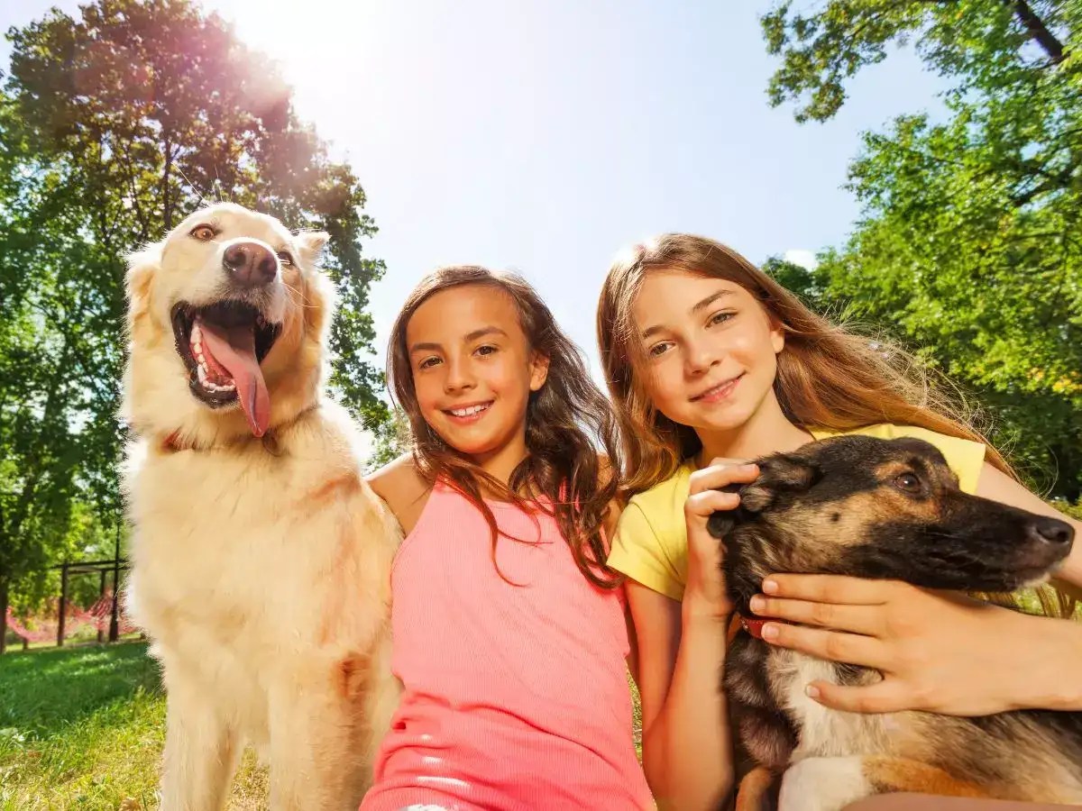 Kid Friendly Pet 10 cute kids friendly pets to have