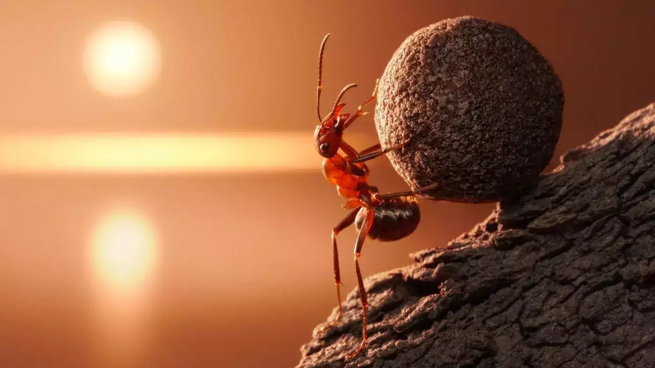 7 shocking secrets about ants you didn’t know