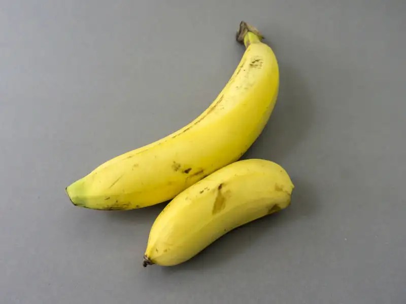 YouAsked Can a penis be too big for vagina?