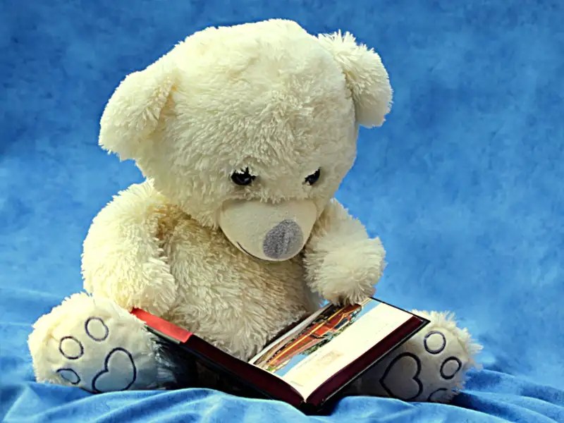 Teddy Day Choose from these Lovely & Cute Teddies to Gift to your girl
