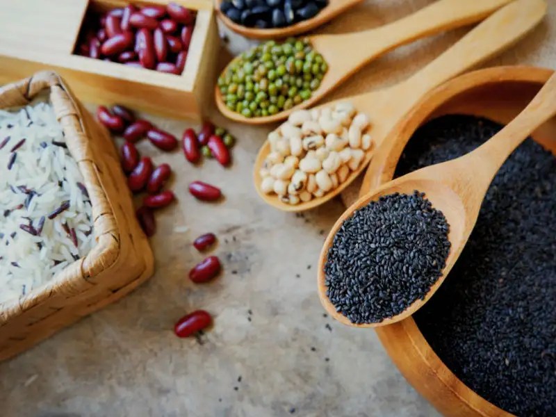 High Protein Vegetarian Foods India Vegetarian Foody's