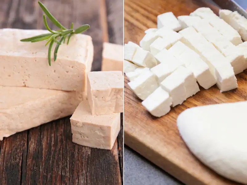 Paneer vs tofu Which is better for weight loss? The Times of India
