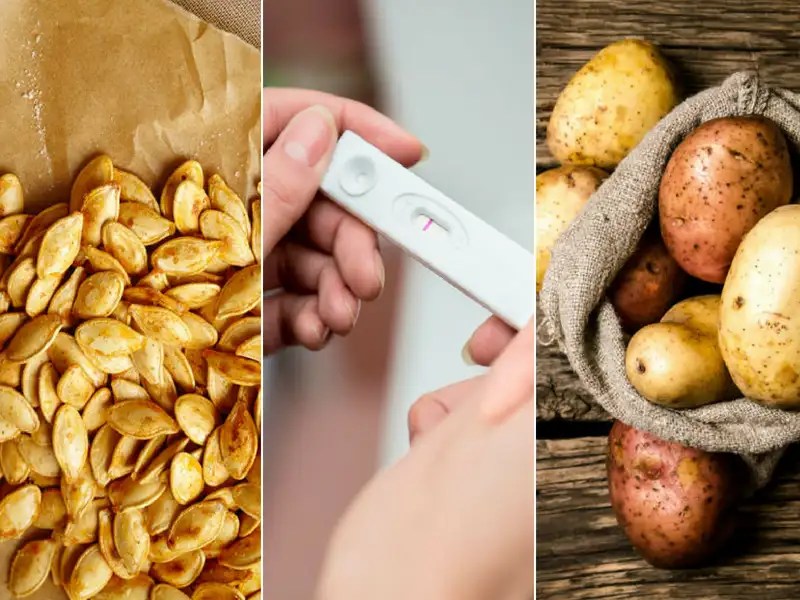 10 Superfoods You Must Eat If You Trying To Get Pregnant | The Times Of India