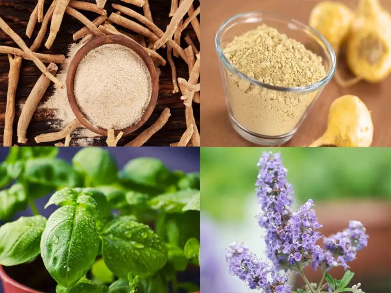 9 Foods That Help Balance Your Hormones | The Times Of India