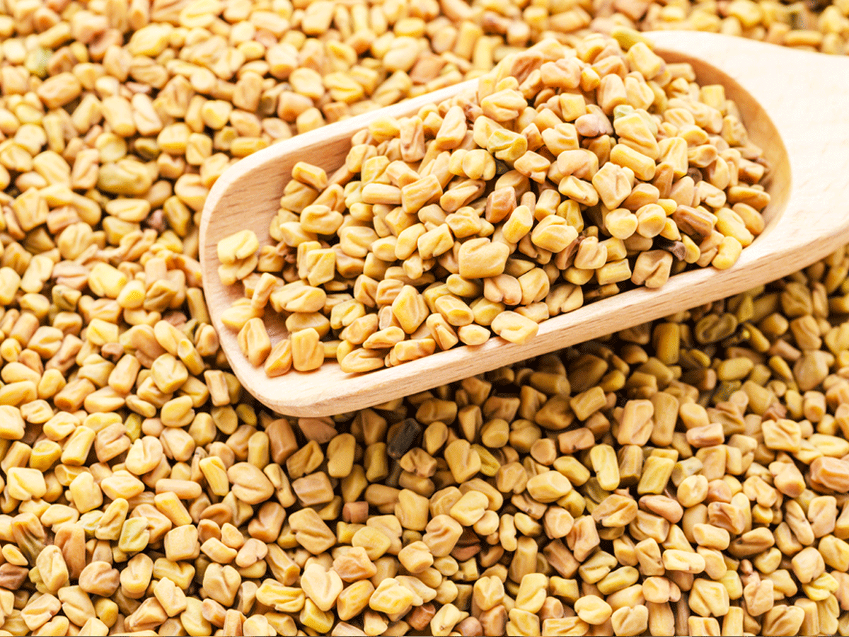 How Methi seeds are helpful in controlling diabetes and blood sugar levels