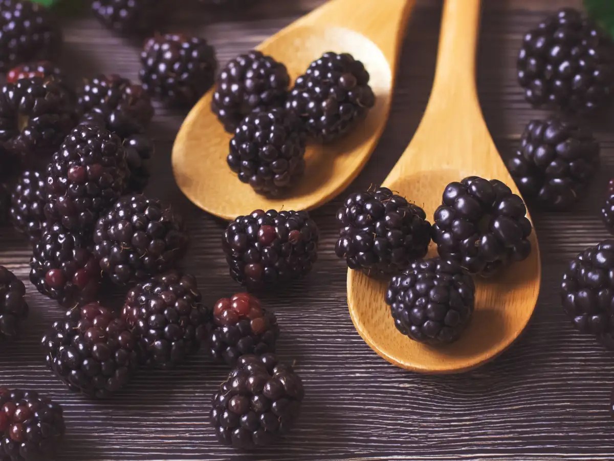 Fruit Benefits Of Blackberry