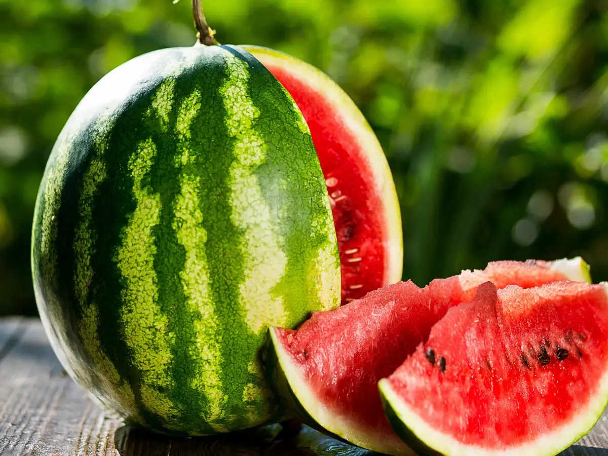 What is negative calorie food? And how they aid in weight loss Times