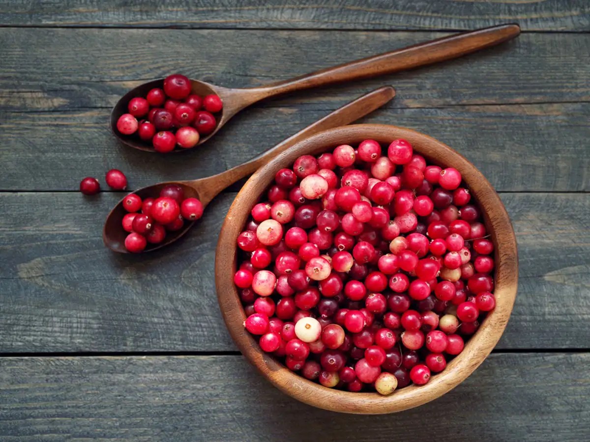 Cranberries Health Benefits Are cranberries are good for cancer and UTI?