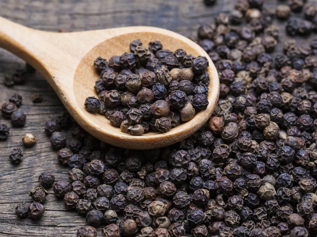 How to have black pepper (kali mirch) for weight loss Statyourself