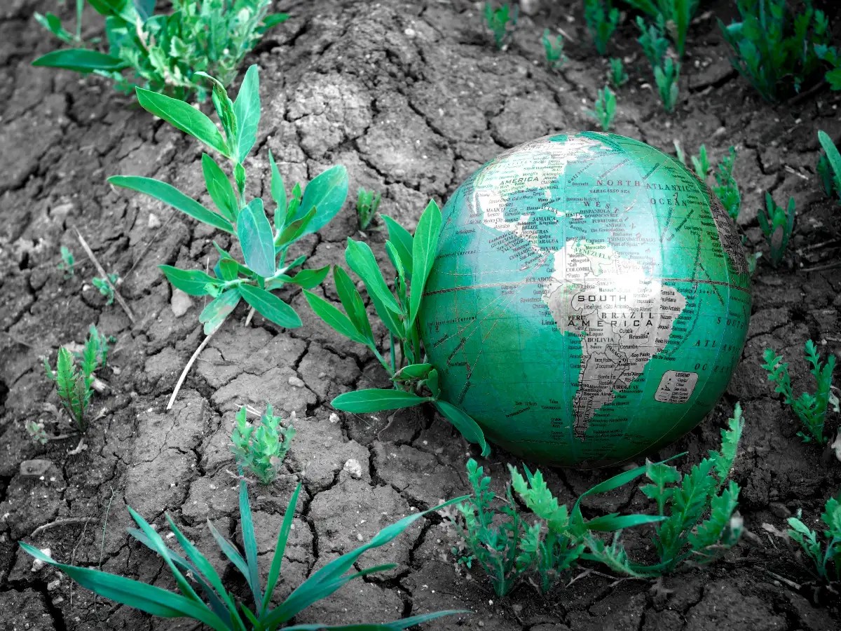 How climate change is affecting food production