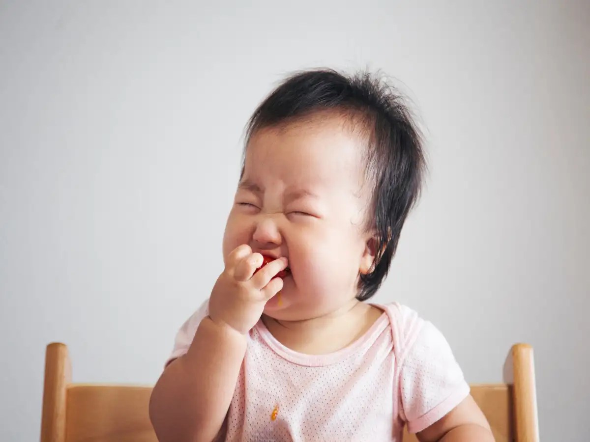 A gene that makes food taste bitter? The Times of India