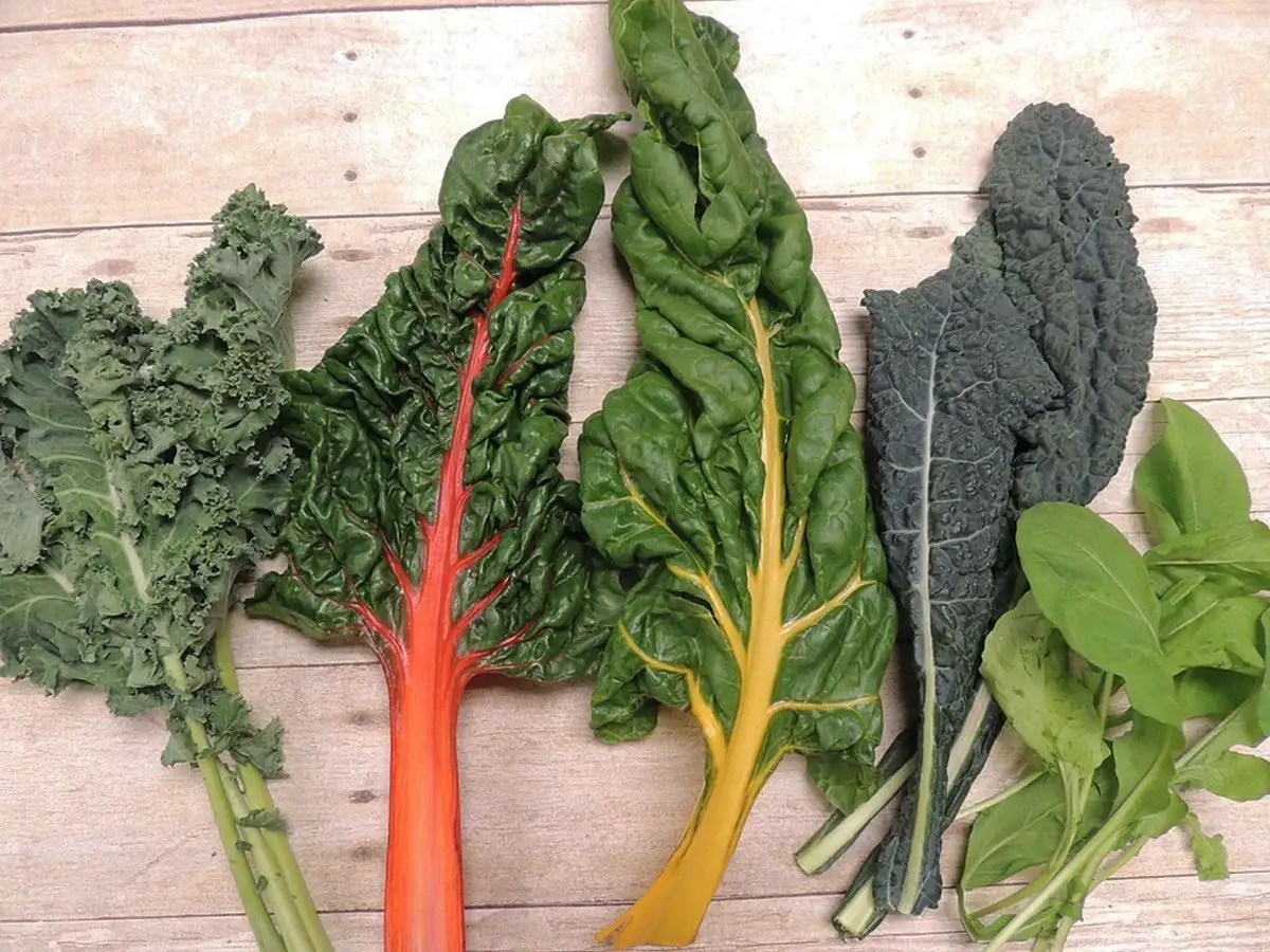 Types Of Leafy Greens
