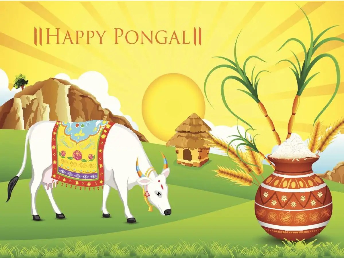 Happy Pongal 2021 Images, Wishes, Messages, Quotes, Cards, Greetings