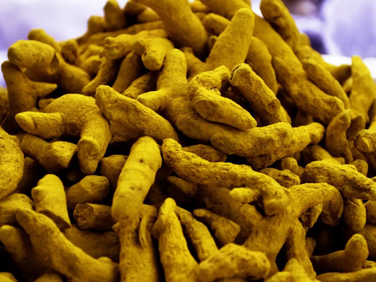 4 ways you can use turmeric to get maximum benefits The Times of India