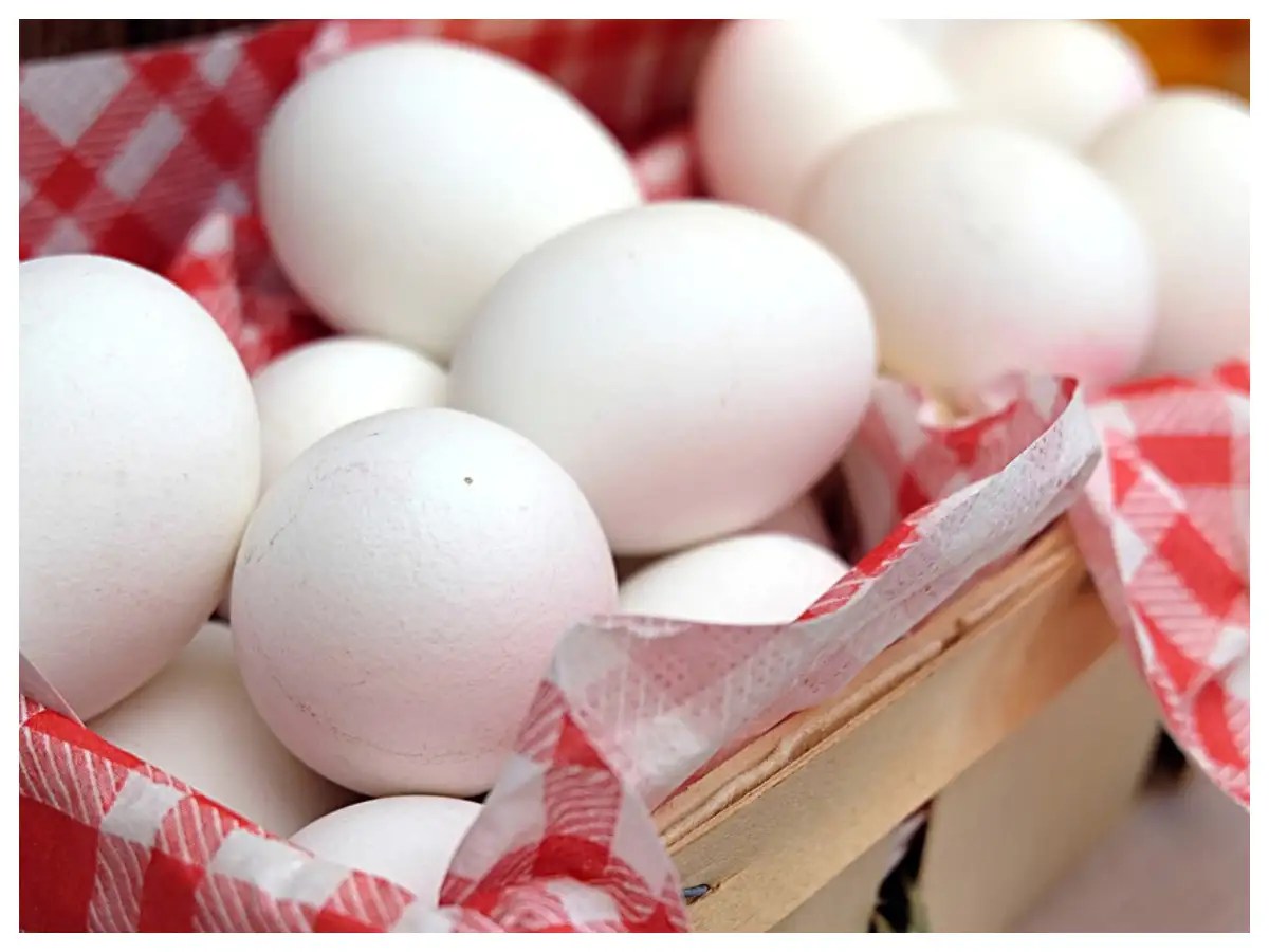 6 types of eggs that you can eat!