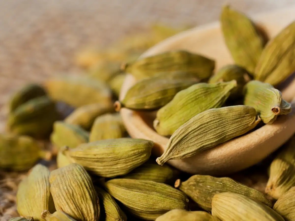 Superfood Elaichi How to use the spice for weight loss The Times of