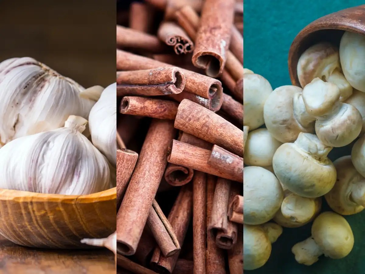 Coronavirus Prevention Foods in India, What to Eat to Prevent