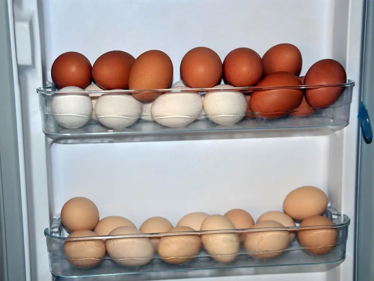 Is it safe to freeze eggs Freezing eggs is healthy?