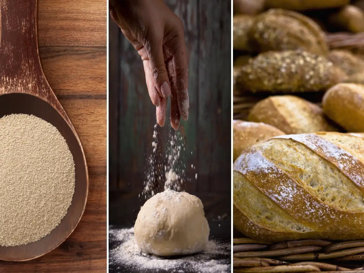 Yeast substitutes you can use to bake at home