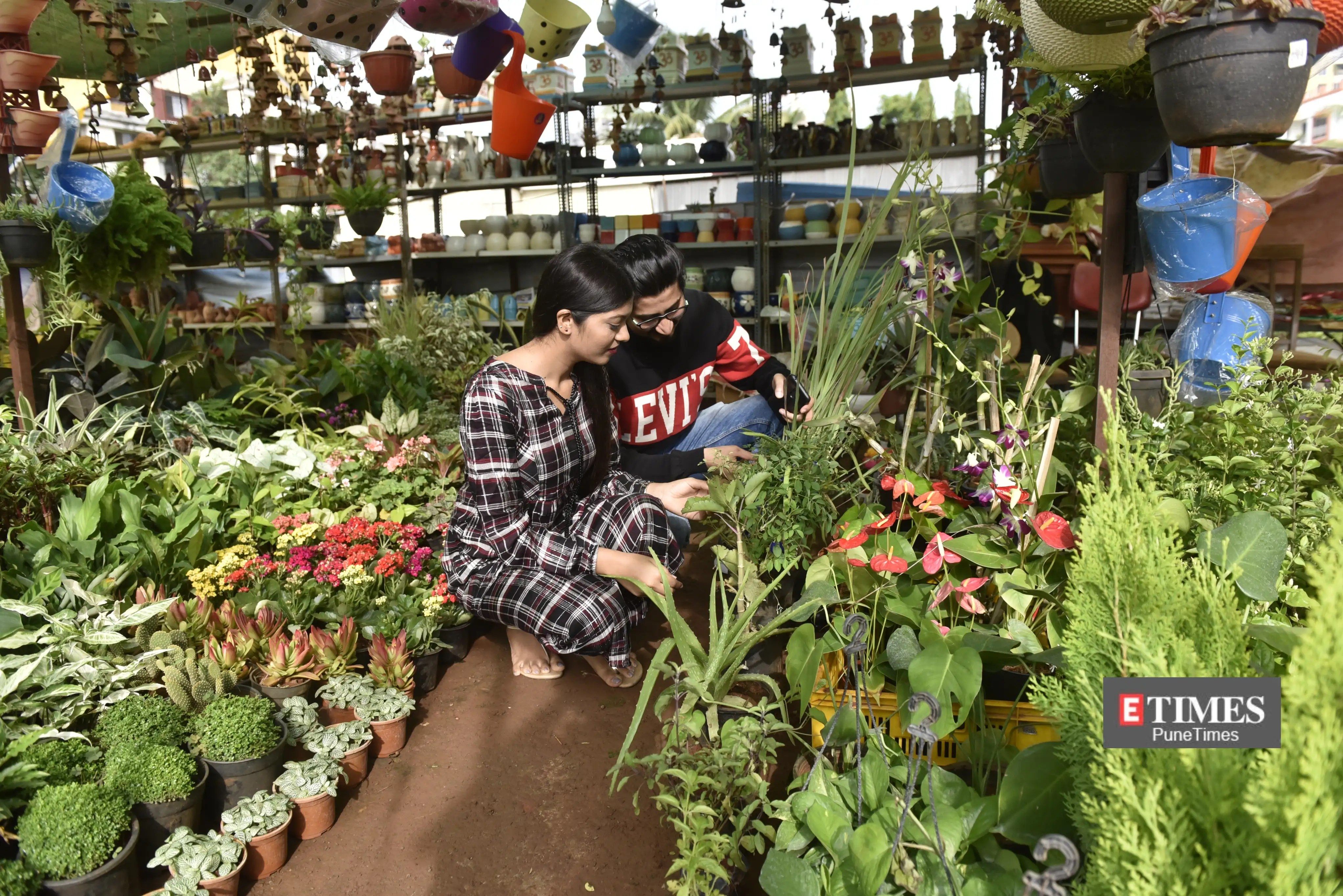Biggest Nursery In Hyderabad Blajewka