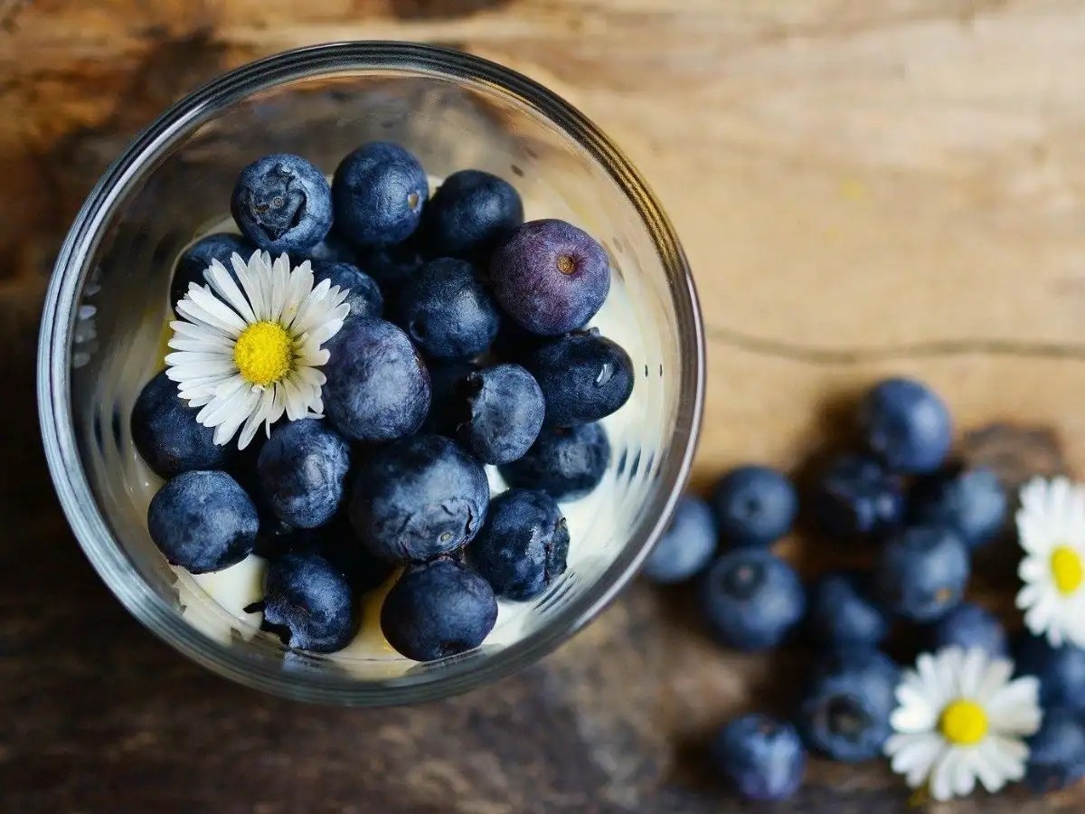 Blueberry facts, health benefits, uses and easy recipes