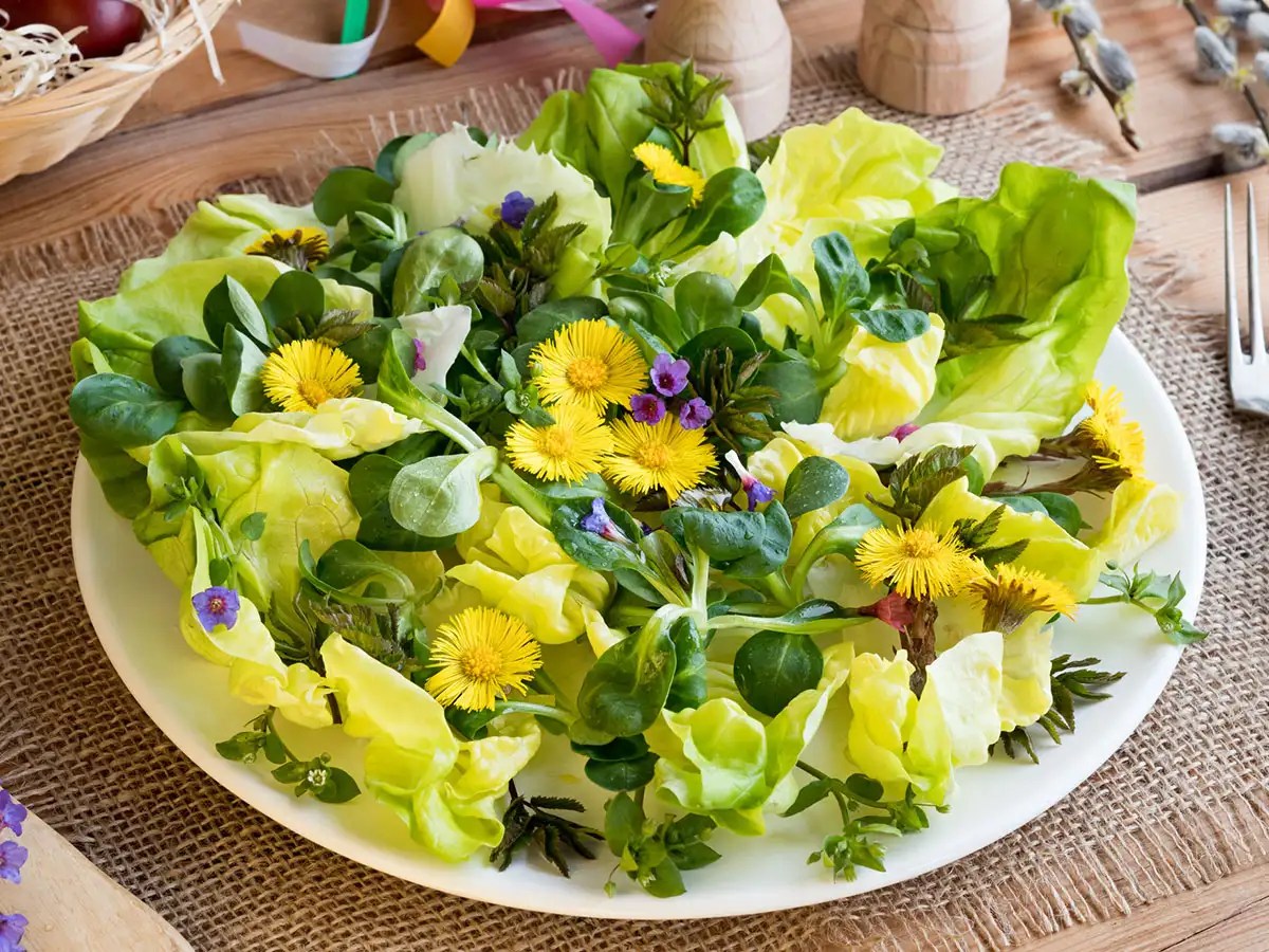 Edible Wild Plants Do you know, these wild plants are edible?