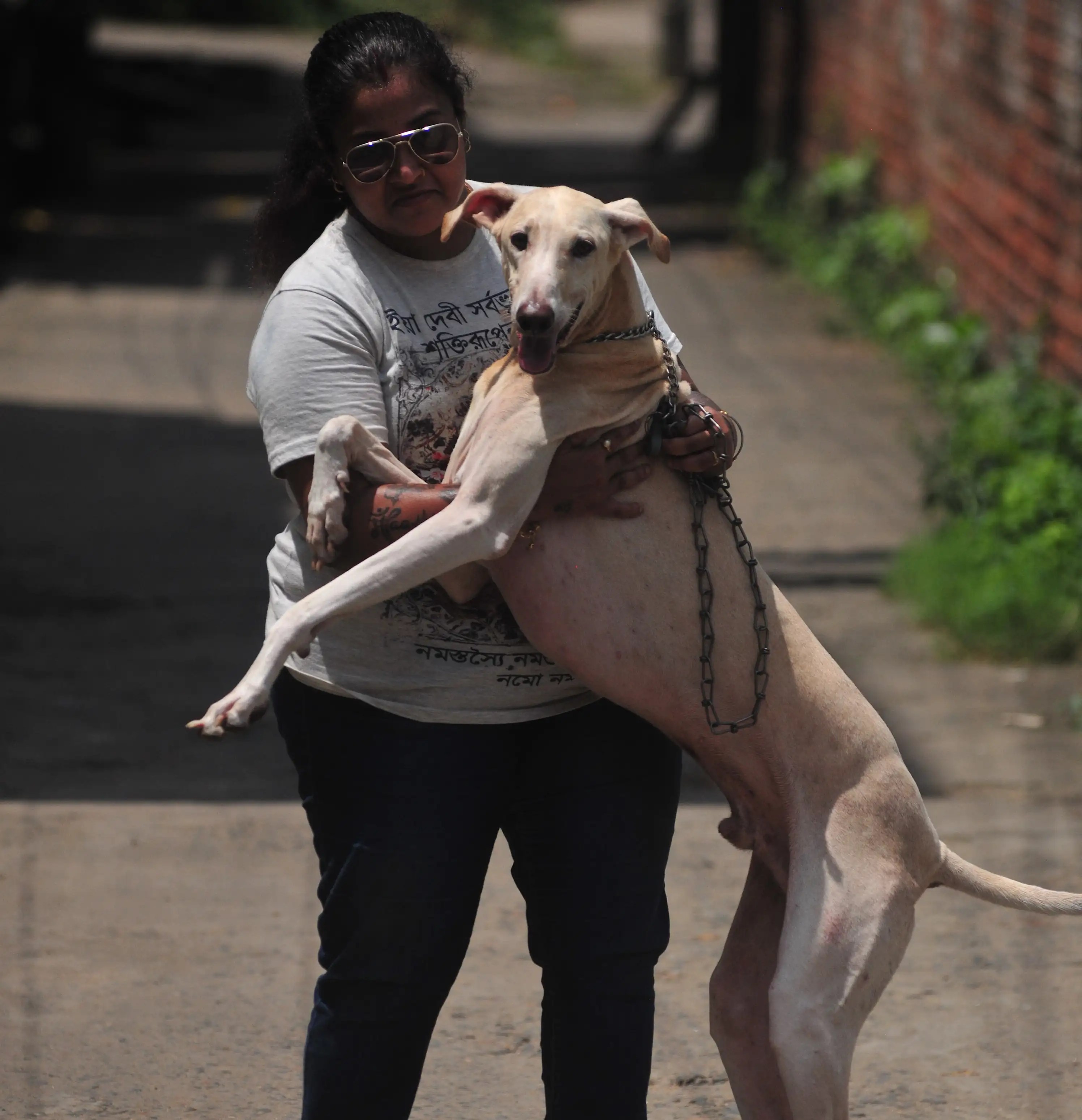 Looking to adopt a desi dog? Don't to make them run
