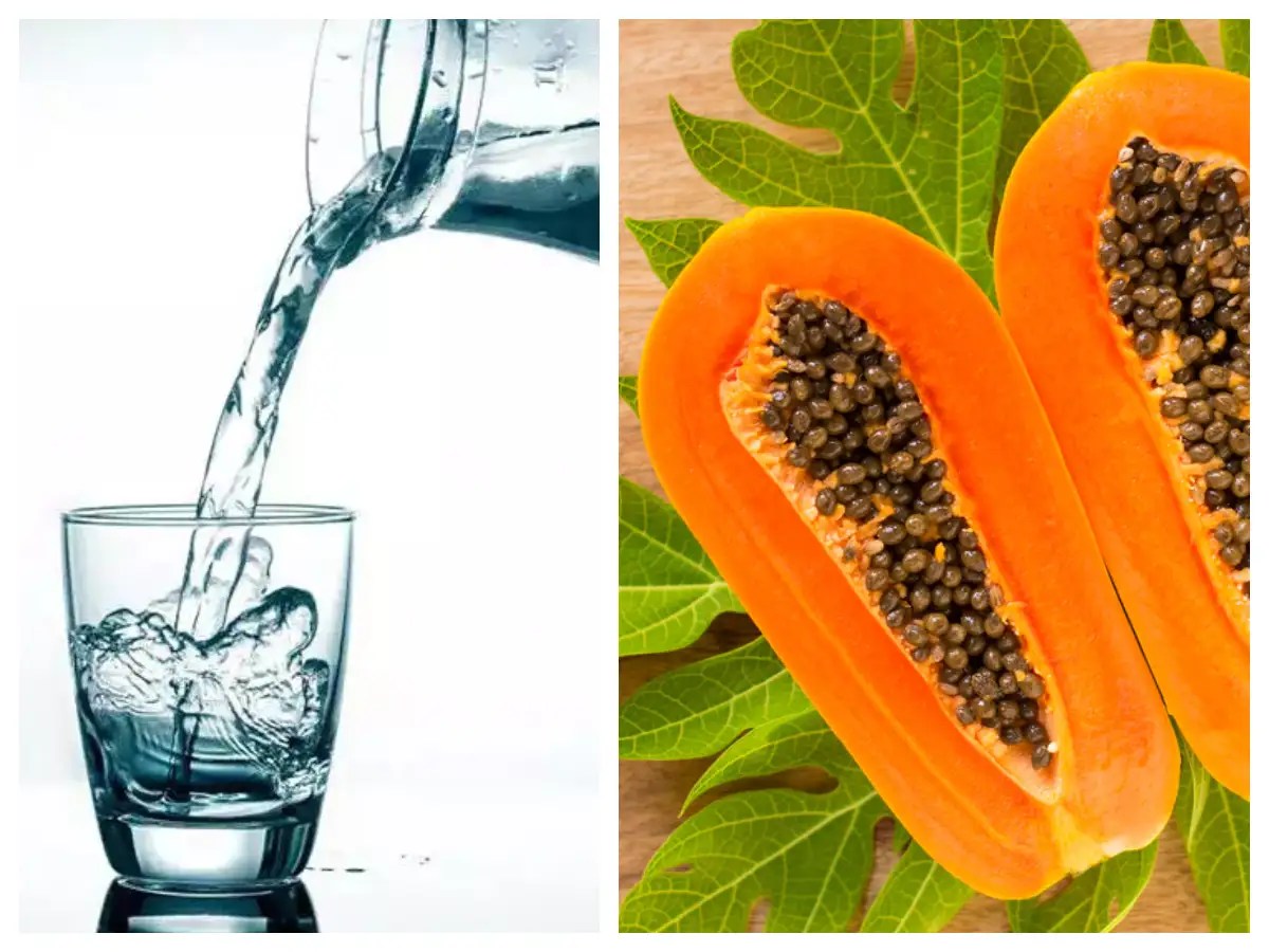 Drinking water after Papaya Is it safe to drink water after eating papaya?