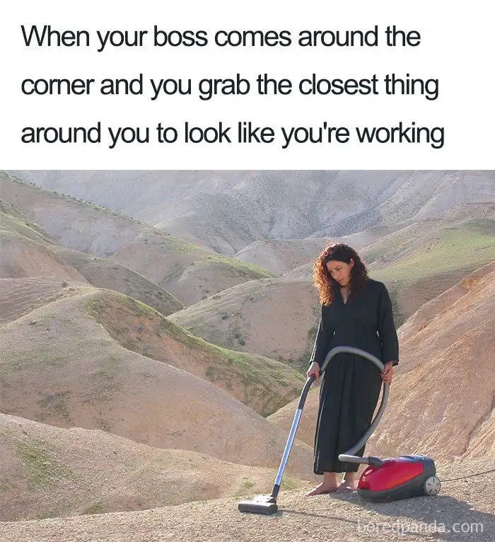 Boss Day Memes, Wishes, Messages & Images Happy Boss' Day 2020 Funny